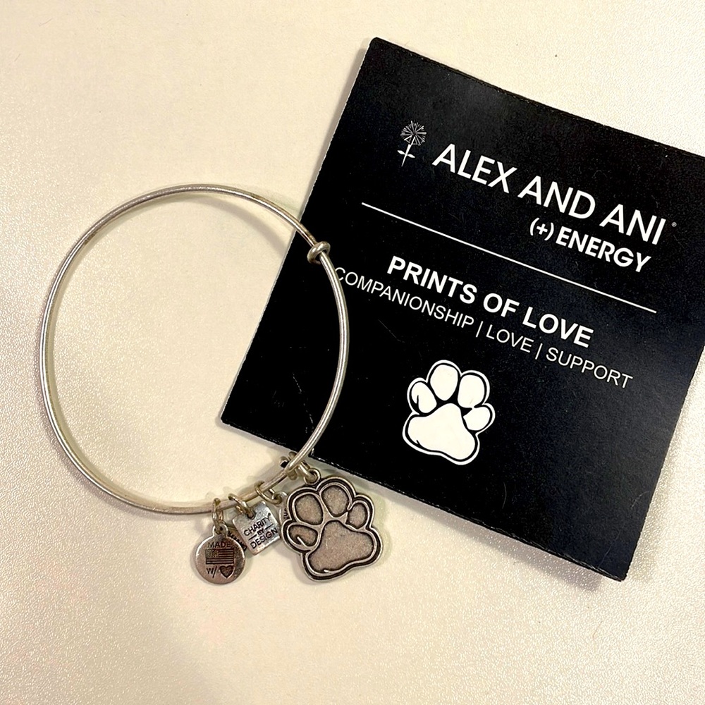 Alex And Ani Prints of Love bracelet
